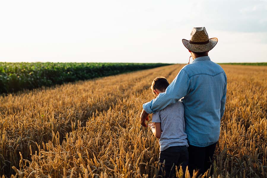 Contact - View of Father and Son Standing in a Field of Wheat Looking Out into the Distance at Their Farm